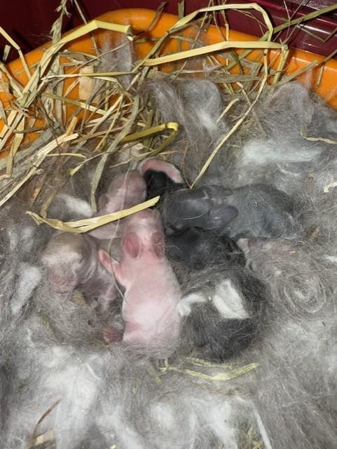 Thumbnail image2