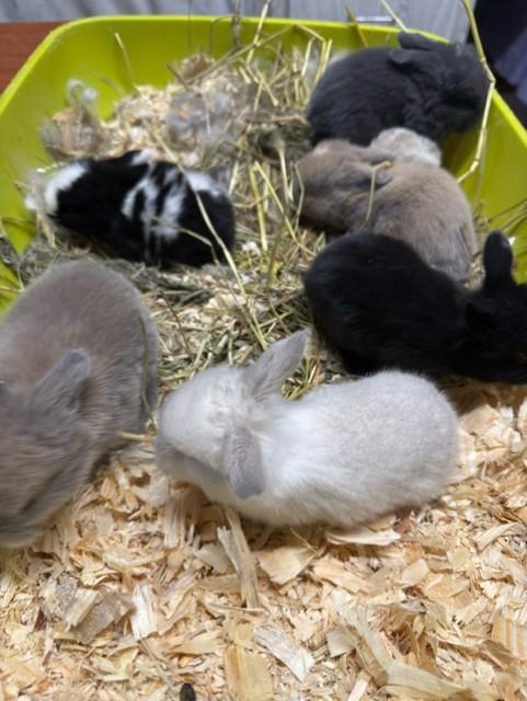 Thumbnail image4